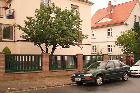 5. Dresdner Zaun (moosgrün)